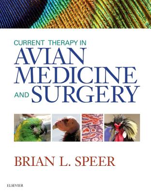 Current Therapy in Avian Medicine and Surgery - Speer, Brian, BS, DVM