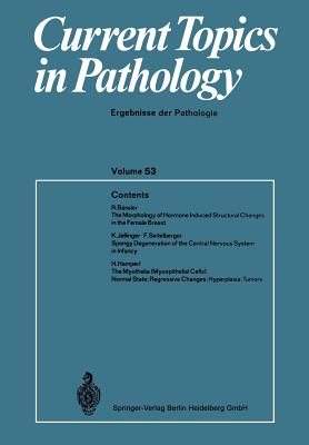 Current Topics in Pathology: Ergebnisse Der Pathology - Altmann, H -W, and Benirschke, K, and Bohle, A