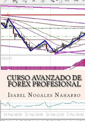 Curso Avanzado de Forex Profesional - Nogales, Isabel