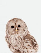 Cute Animal Composition Book: 8.5 X 11'', 200 Wide Ruled Pages, Notebook for School Softcover Canvas Design Owl: Large Notebook Journal for Teacher, Students, and College