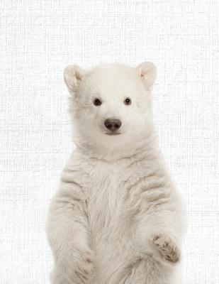 Cute Animal Composition Book Polar bear: 8.5 x 11'', 200 Wide Ruled Pages, Notebook for School Softcover Canvas Design: Large notebook journal for teacher, students, and college - Library, Bb Book