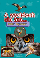 Cyfres a Wyddoch chi: A Wyddoch Chi am Adar Cymru?