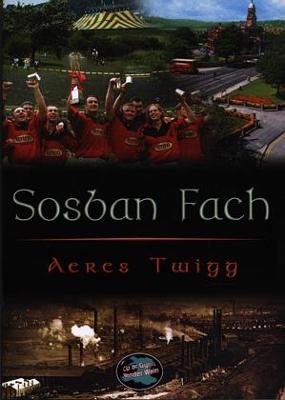 Cyfres Cip ar Gymru / Wonder Wales: Sosban Fach - Twigg, Aeres