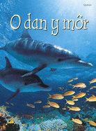 Cyfres Dechrau Da: O dan y Mor