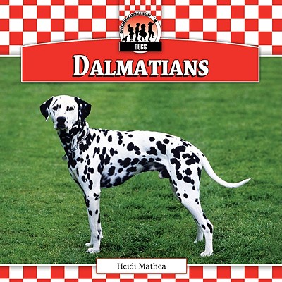 Dalmatians - Mathea, Heidi