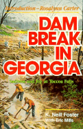 Dam Break in Georgia: Sadness and Joy at Toccoa Falls - Foster, Kenneth Neill, Ph.D., and Foster, K Neill, PH.D.