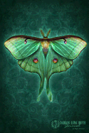 Damask Luna Moth Journal - Ashwood, Brigid