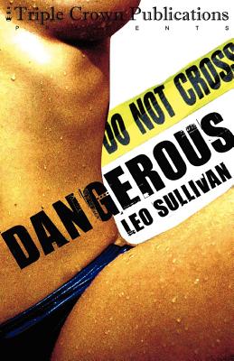 Dangerous - Sullivan, Leo