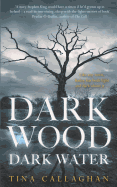 Dark Wood Dark Water