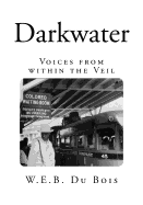Darkwater: Voices from within the Veil