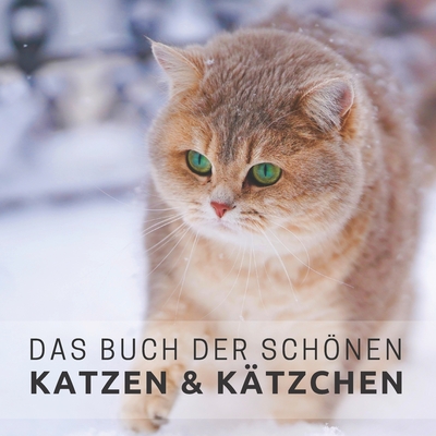 Das Buch der schnen Katzen und K?tzchen: Bildband f?r Senioren und Demenzkranke - Pretty Pine Press