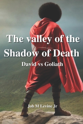 David & Goliath: Tanakh In Color - Levine, Job M, Jr.