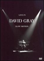David Gray: Live in Slow Motion