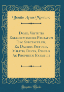 David, Virtutis Exercitatissim Probatum Deo Spectaculum, Ex Dauidis Pastoris, Militis, Ducis, Exsulis AC Prophet Exemplis (Classic Reprint)