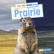 Day and Night on the Prairie