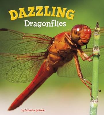 Dazzling Dragonflies - Ipcizade, Catherine