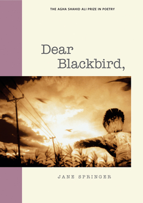 Dear Blackbird, - Springer, Jane