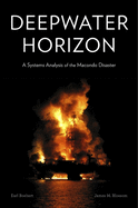 Deepwater Horizon: A Systems Analysis of the Macondo Disaster