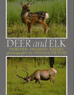 Deer and Elk