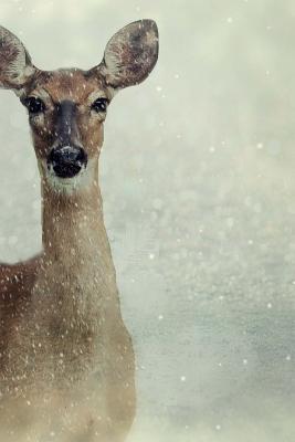 Deer Notebook: 150 lined pages, softcover, 6 x 9 - Wild Pages Press