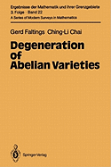 Degeneration of Abelian Varieties