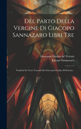 Del Parto Della Vergine Di Giacopo Sannazaro Libri Tre: Tradotti In Versi Toscani Da Giovanni Giolito De'ferrari...