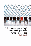 Delle Consuetudini E Degli Statuti Municipali Nelle Provincie Napolitane