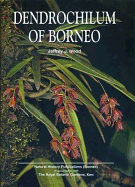 Dendrochilum of Borneo - Wood, J. J.