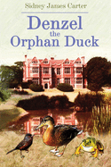 Denzel the Orphan Duck
