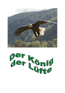 Der Konig Der Lufte