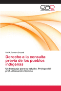 Derecho a la consulta previa de los pueblos indgenas