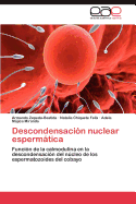 Descondensacion Nuclear Espermatica