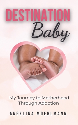 Destination Baby: My Journey to Motherhood Through Adoption - Moehlmann, Angelina