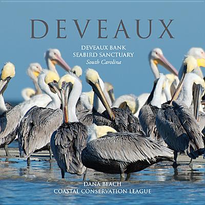 Deveaux: Deveaux Bank Seabird Sanctuary, South Carolina - Beach, Dana