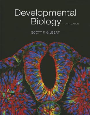 Developmental Biology - Gilbert, Scott F