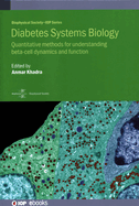 Diabetes Systems Biology: Quantitative methods for understanding beta-cell dynamics and function