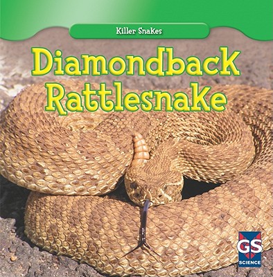 Diamondback Rattlesnake - Leigh, Autumn