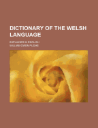 Dictionary of the Welsh Language: Explained in English