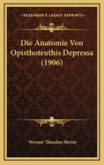 Die Anatomie Von Opisthoteuthis Depressa (1906)