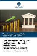 Die Beherrschung von Indikatoren f?r ein effizientes Finanzmanagement