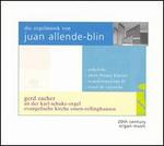 Die Orgel musik von Juan Allende-Blin  - Gerd Zacher (organ)