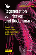 Die Regeneration Von Nerven Und R?ckenmark: Was Wir ?ber Mechanismen Und Therapeutische Ans?tze Wissen