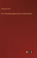 Die Umwandlungsprocesse im Mineralreich