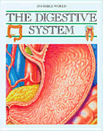 Digestive System (Invis World)