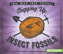 Digging Up Insect Fossils