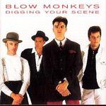Digging Your Scene - The Blow Monkeys