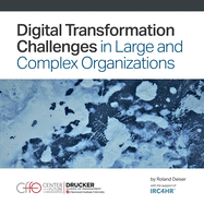 Digital Transformation Challenges in Large and Complex Organizations