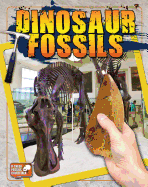 Dinosaur Fossils