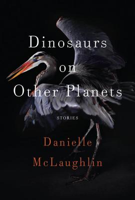 Dinosaurs on Other Planets: Stories - McLaughlin, Danielle