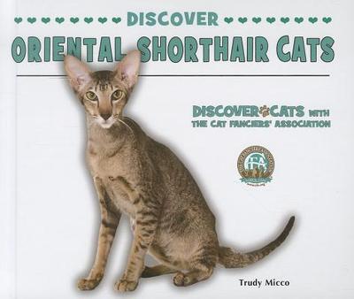 Discover Oriental Shorthair Cats - Micco, Trudy